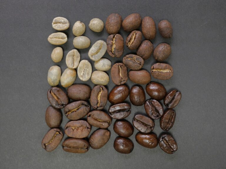 Why Freshly Roasted Coffee Makes All the Difference